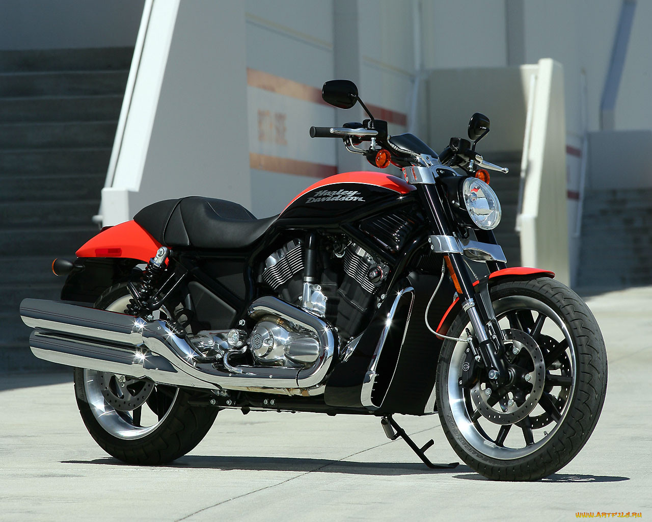 , harley, davidson